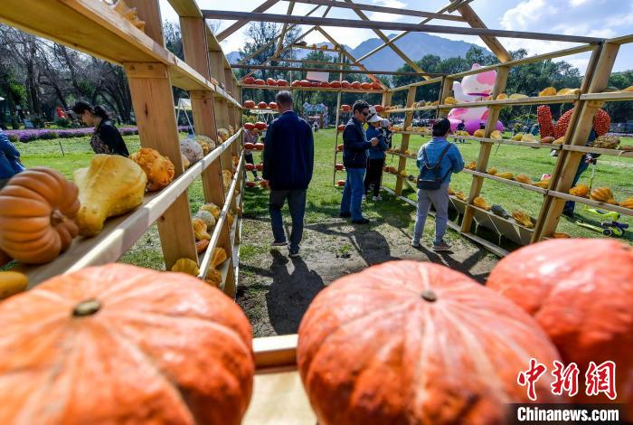 ????? ?? 30 ???... ?????? ????? ????????? ???? ???????