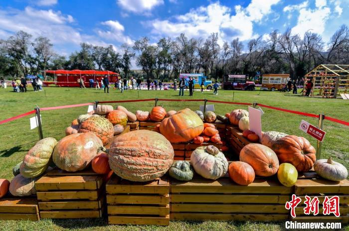 ????? ?? 30 ???... ?????? ????? ????????? ???? ???????