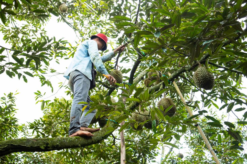 ??????: ???? ???????? ?? ??????