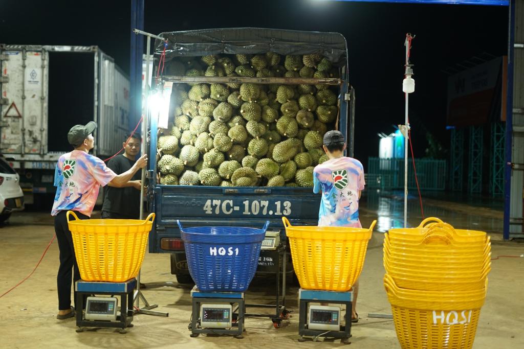 ??????: ???? ???????? ?? ??????