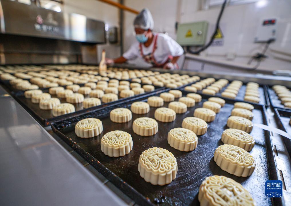 ????? ??? ????? ???? ????? ??????? ???????? ??? ????? ??????