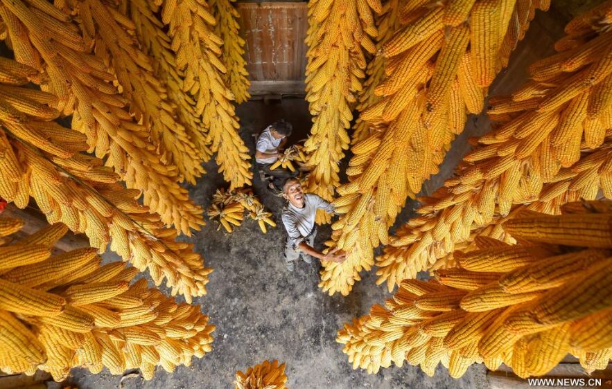 ???? ???? ?????? ?? ?????