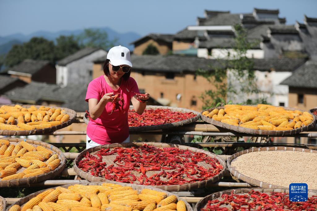 ???? ???? ??????: ????? ???????? ???????? ?? ???? ????? ??????