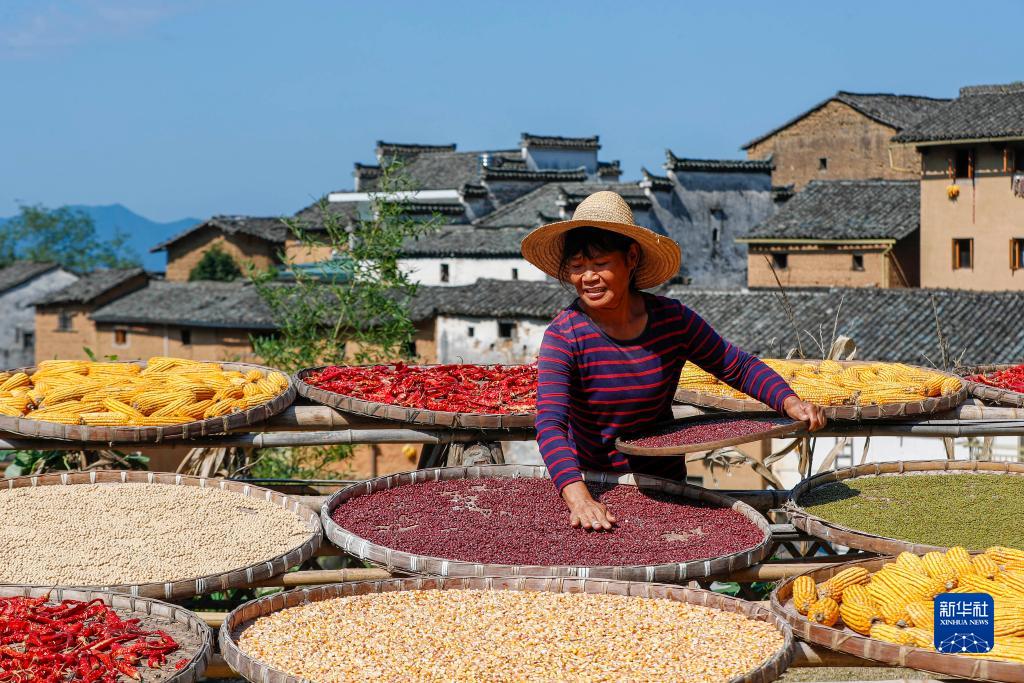 ???? ???? ??????: ????? ???????? ???????? ?? ???? ????? ??????