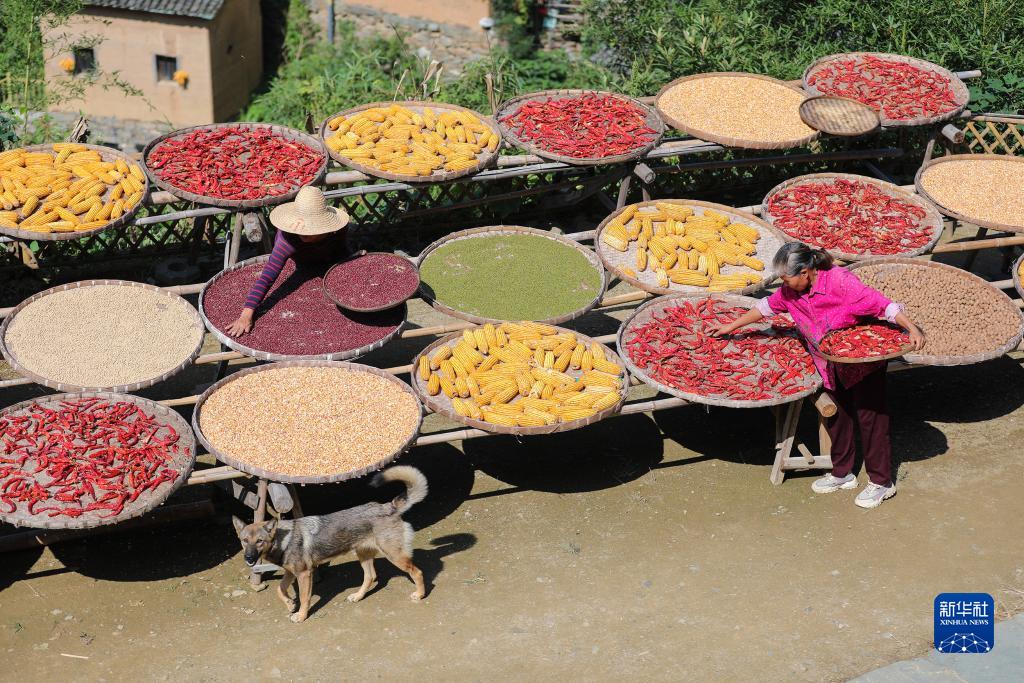 ???? ???? ??????: ????? ???????? ???????? ?? ???? ????? ??????