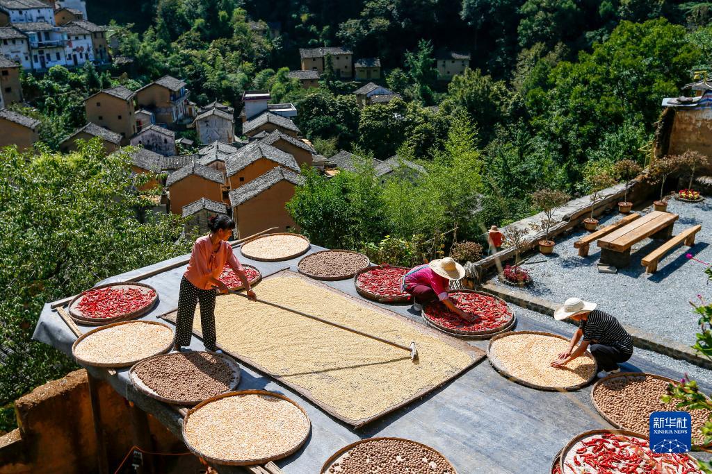 ???? ???? ??????: ????? ???????? ???????? ?? ???? ????? ??????