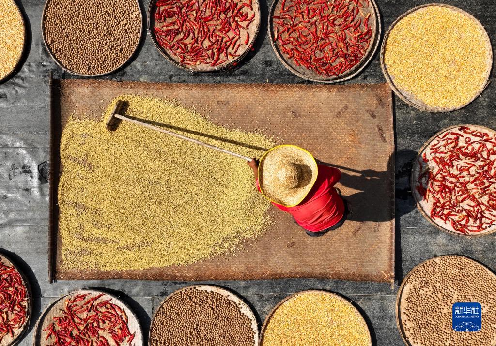 ???? ???? ??????: ????? ???????? ???????? ?? ???? ????? ??????