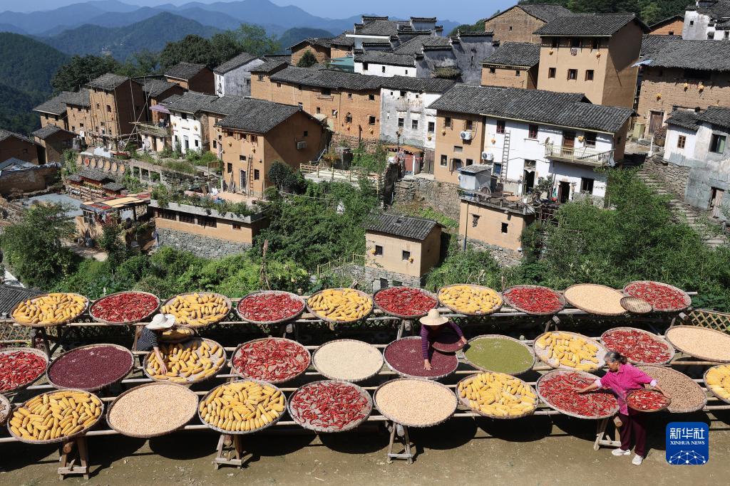 ???? ???? ??????: ????? ???????? ???????? ?? ???? ????? ??????