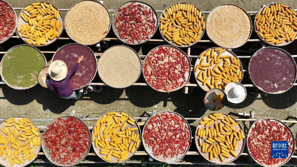 ???? ???? ??????: ????? ???????? ???????? ?? ???? ????? ??????