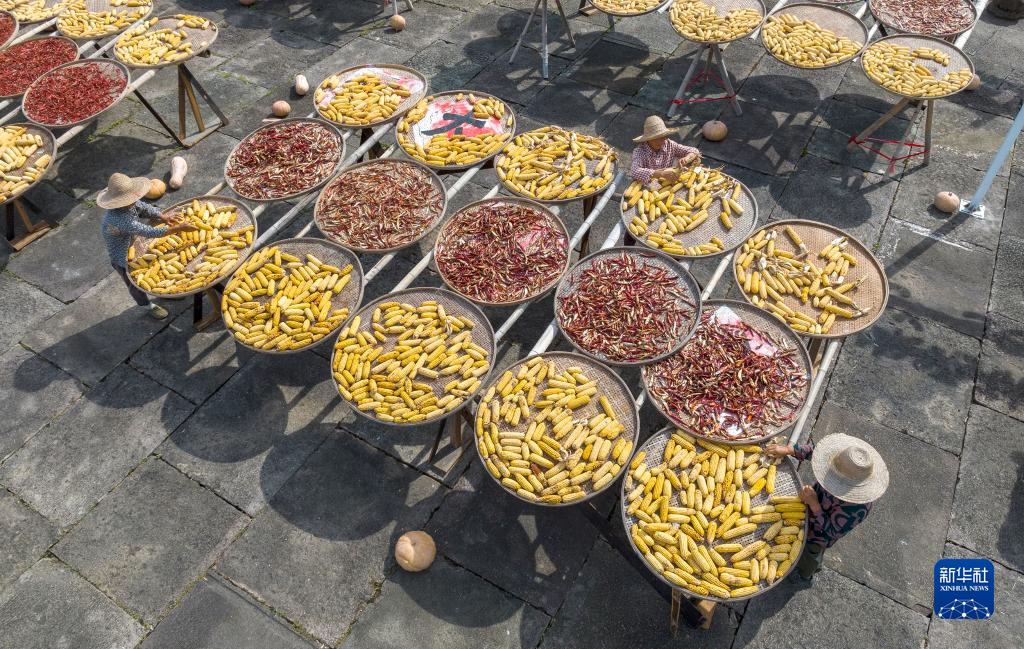 ???? ???? ??????: ????? ???????? ???????? ?? ???? ????? ??????