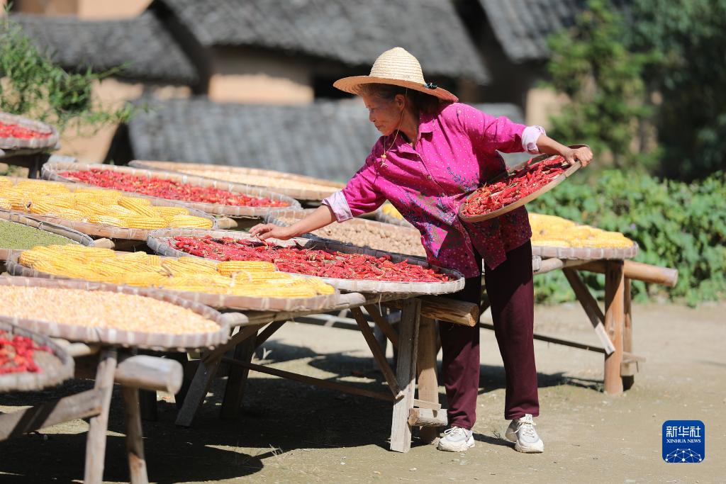 ???? ???? ??????: ????? ???????? ???????? ?? ???? ????? ??????