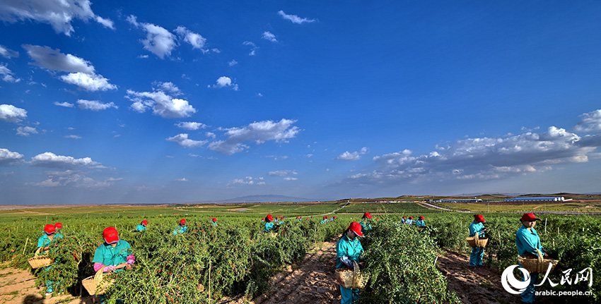 ??? ??????? ???? ????? ???? ????????? ?? ???????