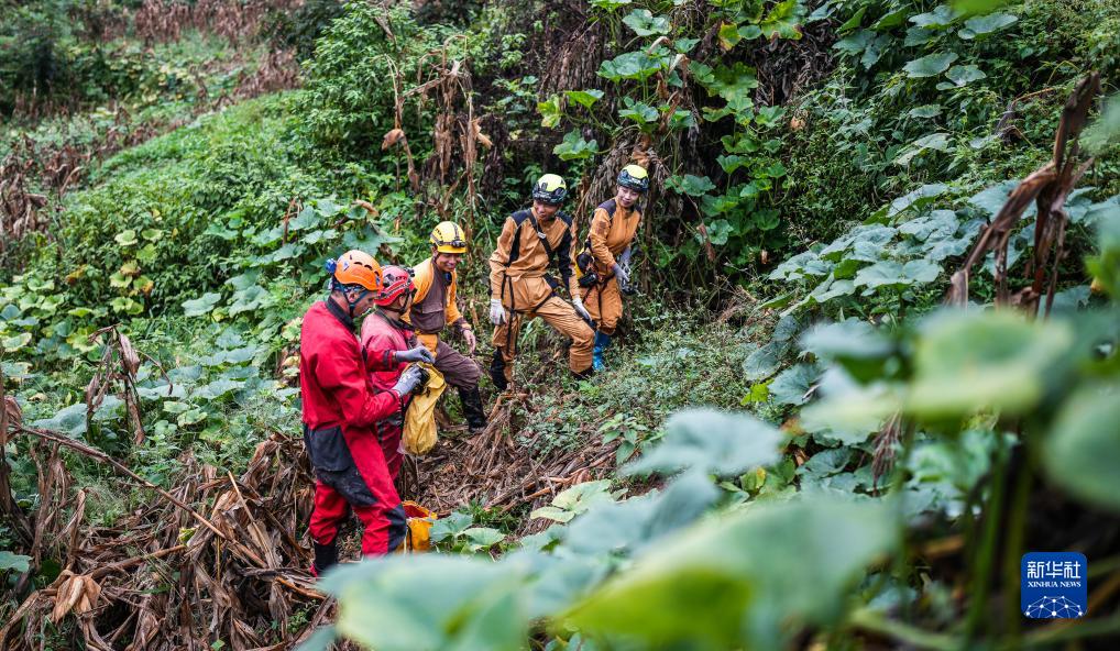 ????? ?????: ??? ??????? ?????? ?? ??????? ??????? ?? ?????? ?? ??? ????? ?????? ??????