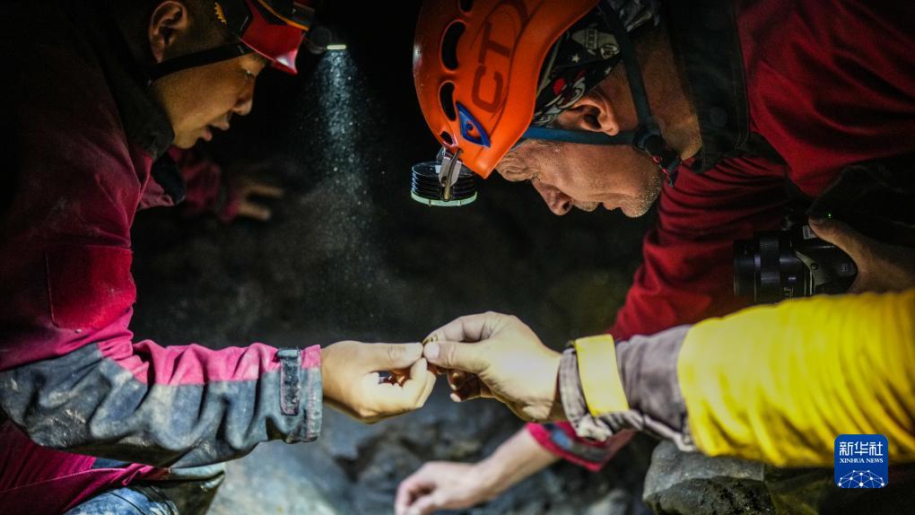 ????? ?????: ??? ??????? ?????? ?? ??????? ??????? ?? ?????? ?? ??? ????? ?????? ??????