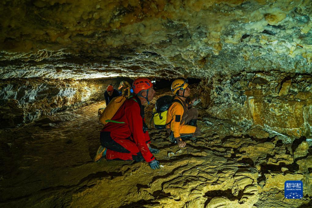 ????? ?????: ??? ??????? ?????? ?? ??????? ??????? ?? ?????? ?? ??? ????? ?????? ??????