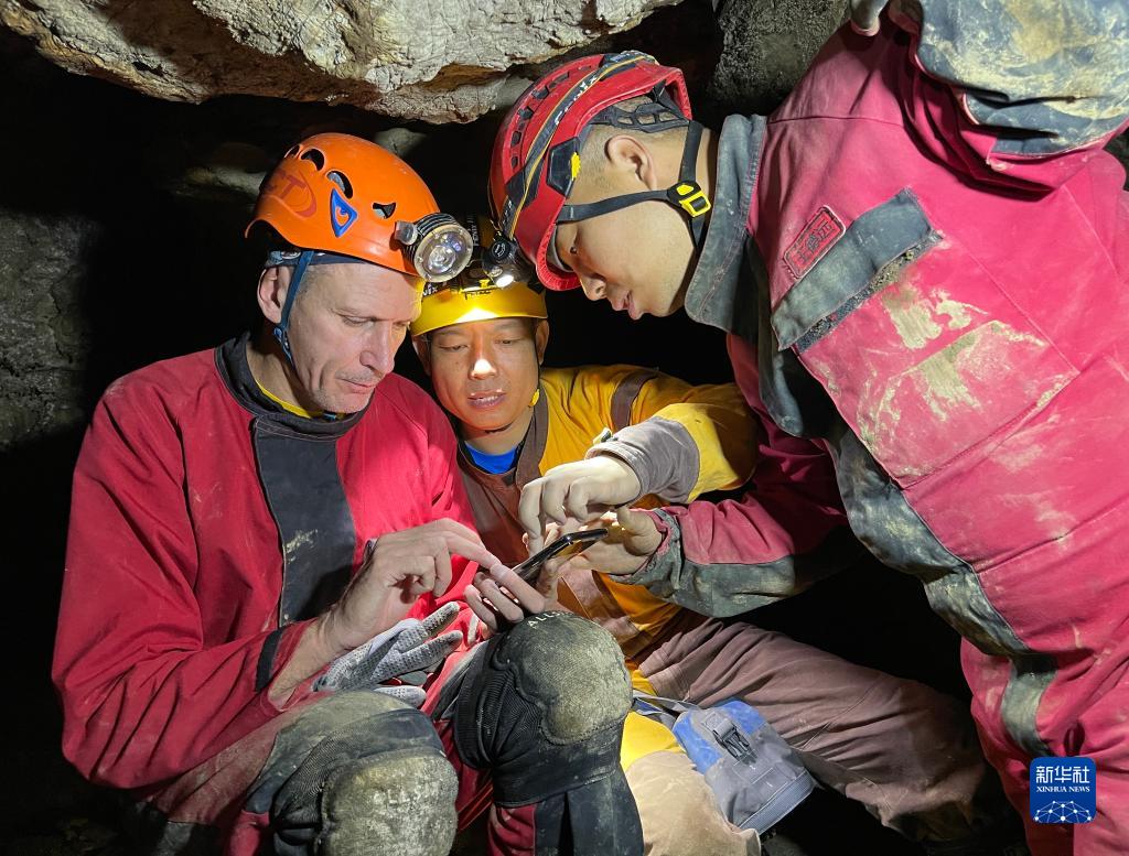 ????? ?????: ??? ??????? ?????? ?? ??????? ??????? ?? ?????? ?? ??? ????? ?????? ??????