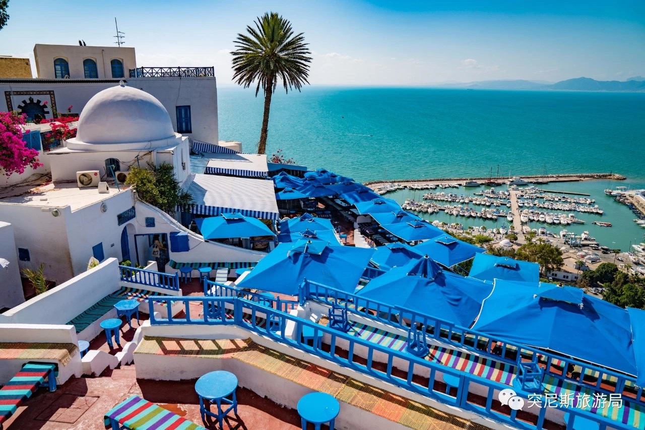 ???? ???? ????? ??????? ?? ???????? ?????? ????????