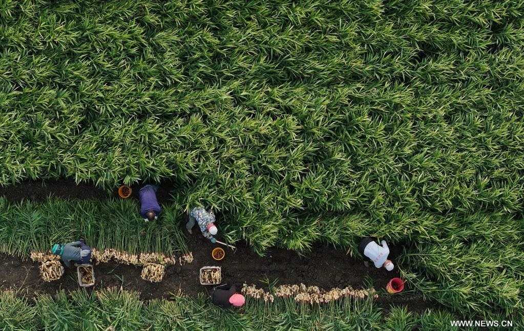 ???? ???????? ????? ???????? ?? ????? ?????