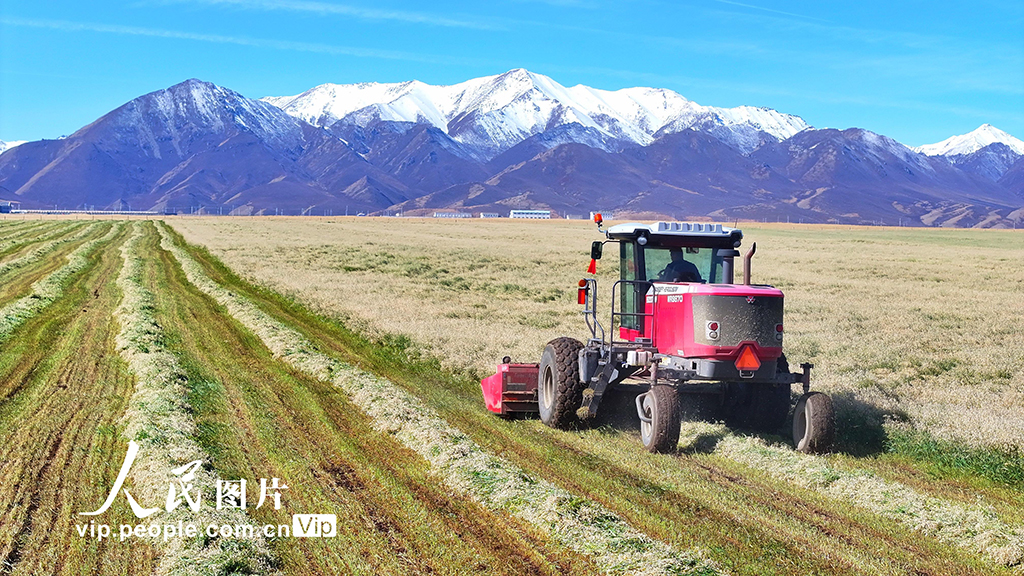 ???? ????? ?????? ????? ????? ?? ????? ???? ???? ??? ???????