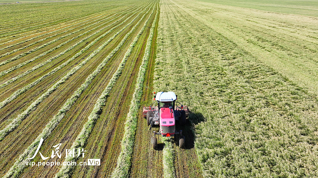 ???? ????? ?????? ????? ????? ?? ????? ???? ???? ??? ???????