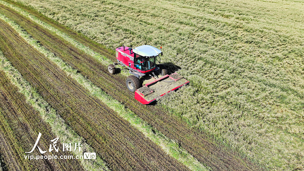 ???? ????? ?????? ????? ????? ?? ????? ???? ???? ??? ???????