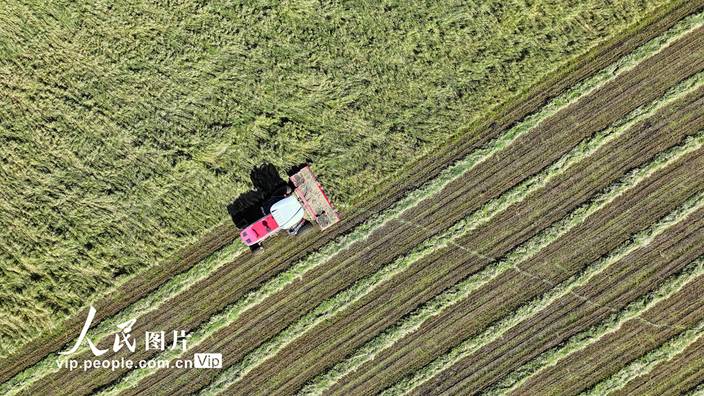 ???? ????? ?????? ????? ????? ?? ????? ???? ???? ??? ???????