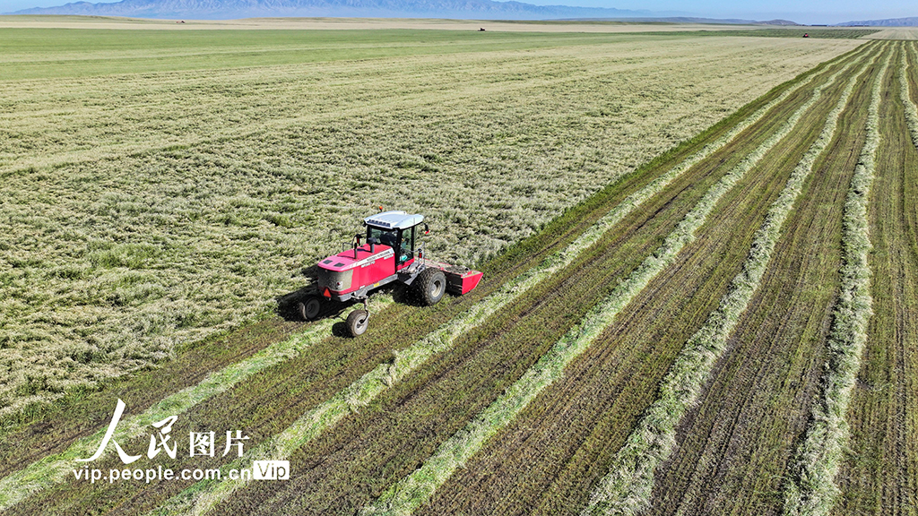 ???? ????? ?????? ????? ????? ?? ????? ???? ???? ??? ???????