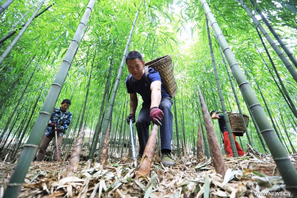 ?????: ???? ????? ??????? ?? ???? ???? ?????