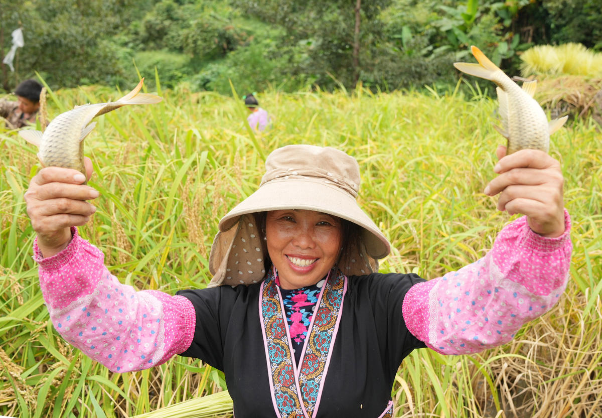 ?? ??????? ????????? ????? ????? ???? ??? ??? ?? ????? ???????