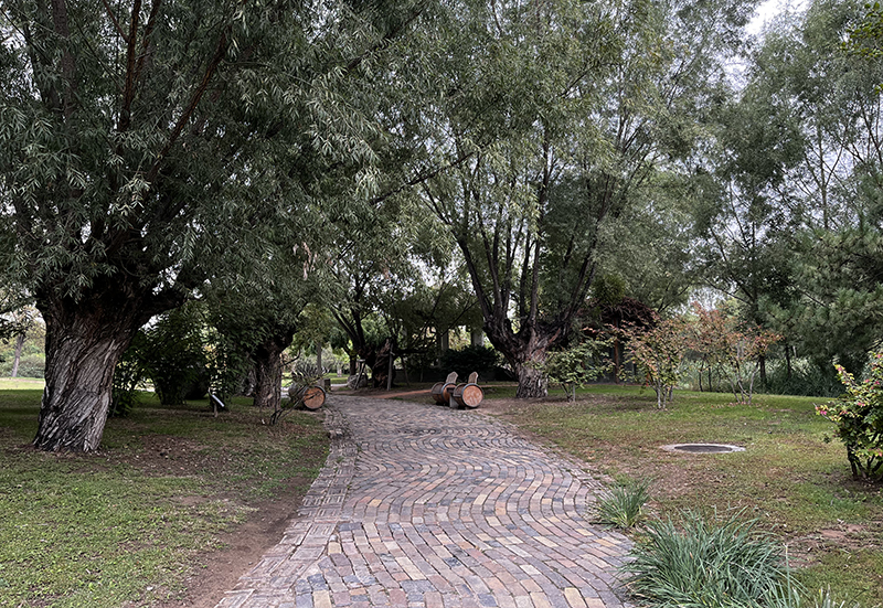 ???????: ???? ????? ????? ??? ????????? ????