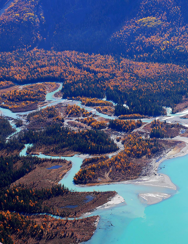 ????? ????? ????? ?????? ??????