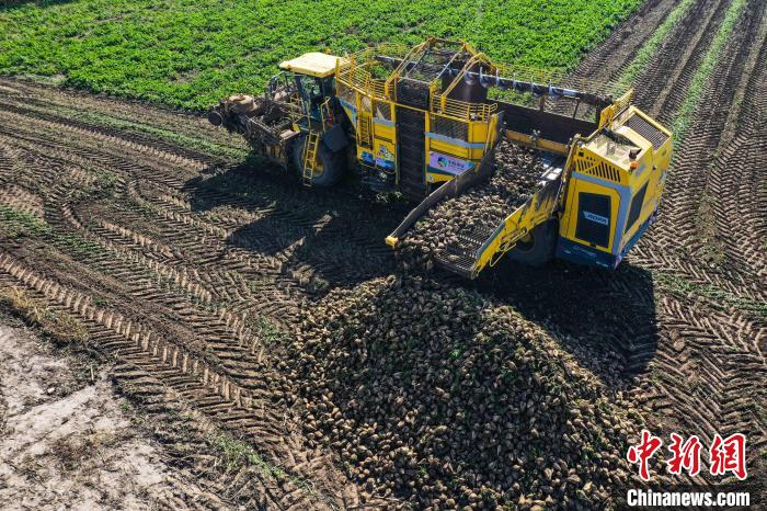 ???????? ????????: ??????? ???????? ????? ????????? ??? ??? ???? ??????