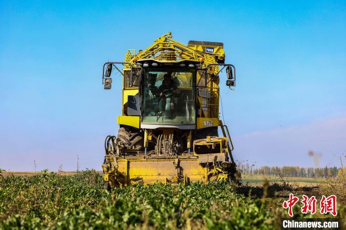 ???????? ????????: ??????? ???????? ????? ????????? ??? ??? ???? ??????