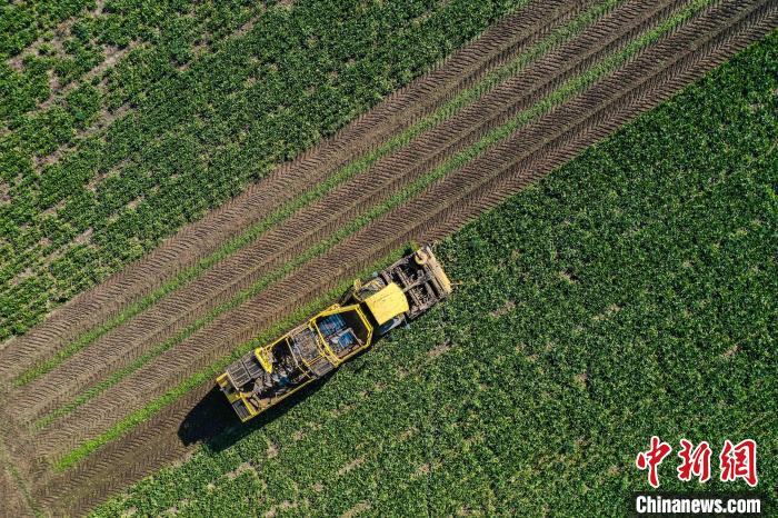 ???????? ????????: ??????? ???????? ????? ????????? ??? ??? ???? ??????