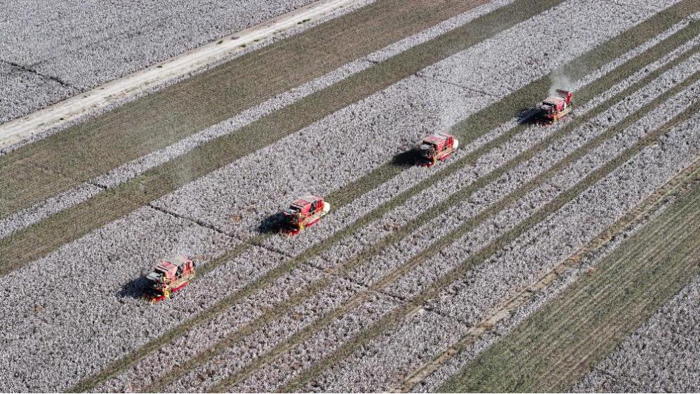 ??????: ???? ????? ?? ????? ???????? ????? ???? ?????