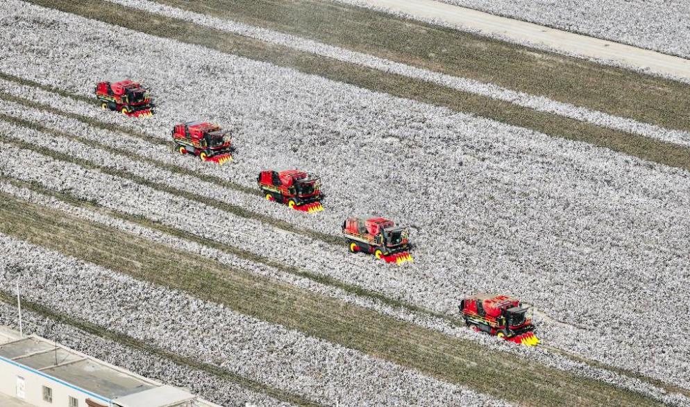 ??????: ???? ????? ?? ????? ???????? ????? ???? ?????