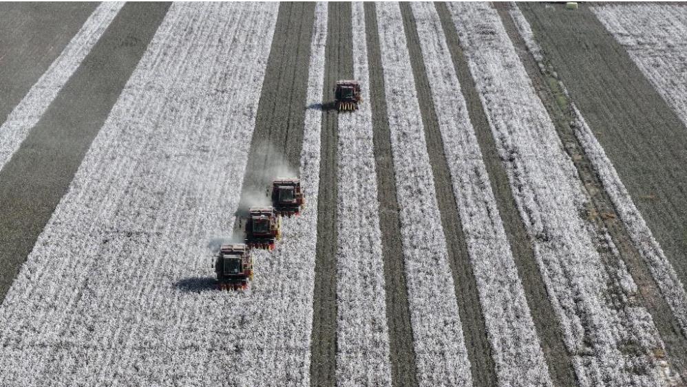 ??????: ???? ????? ?? ????? ???????? ????? ???? ?????