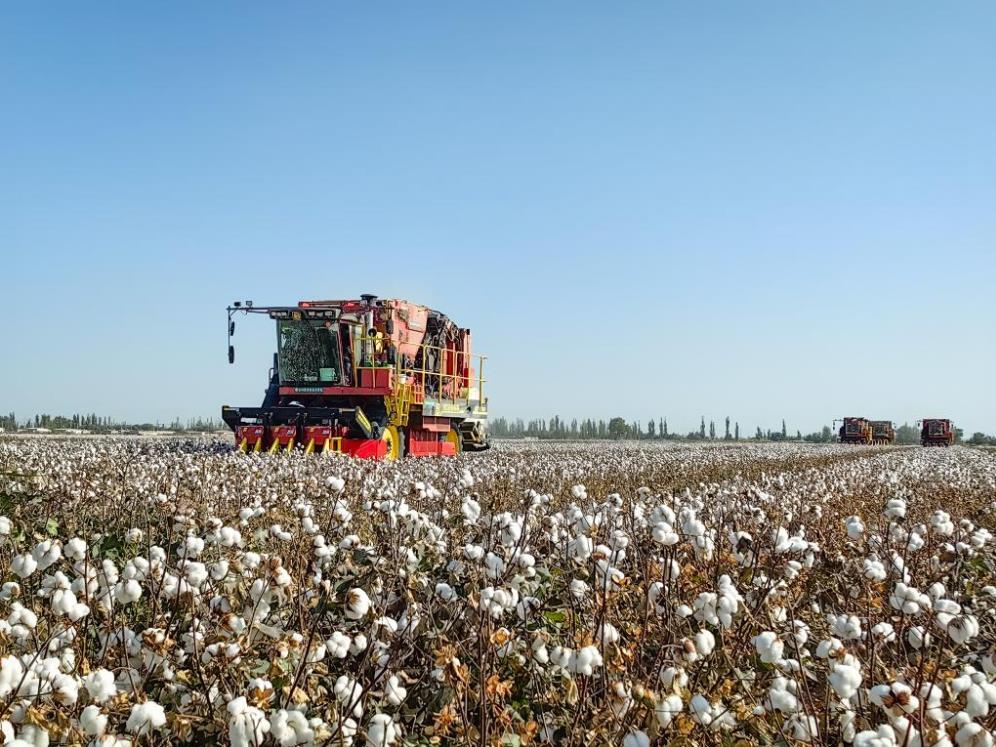 ??????: ???? ????? ?? ????? ???????? ????? ???? ?????