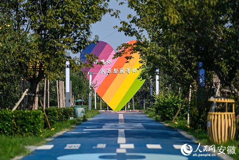 ???????? ?????: ??? ??? 