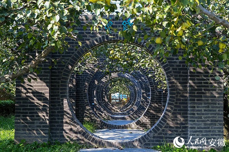 ???????? ?????: ??? ??? 