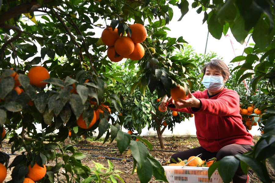 6.3 ??????? ???????? ?? ???? ????? ?? ????? ?????? ?????? ?? ????? ???? ??????? ??????? ?????? ?? ????? ??????