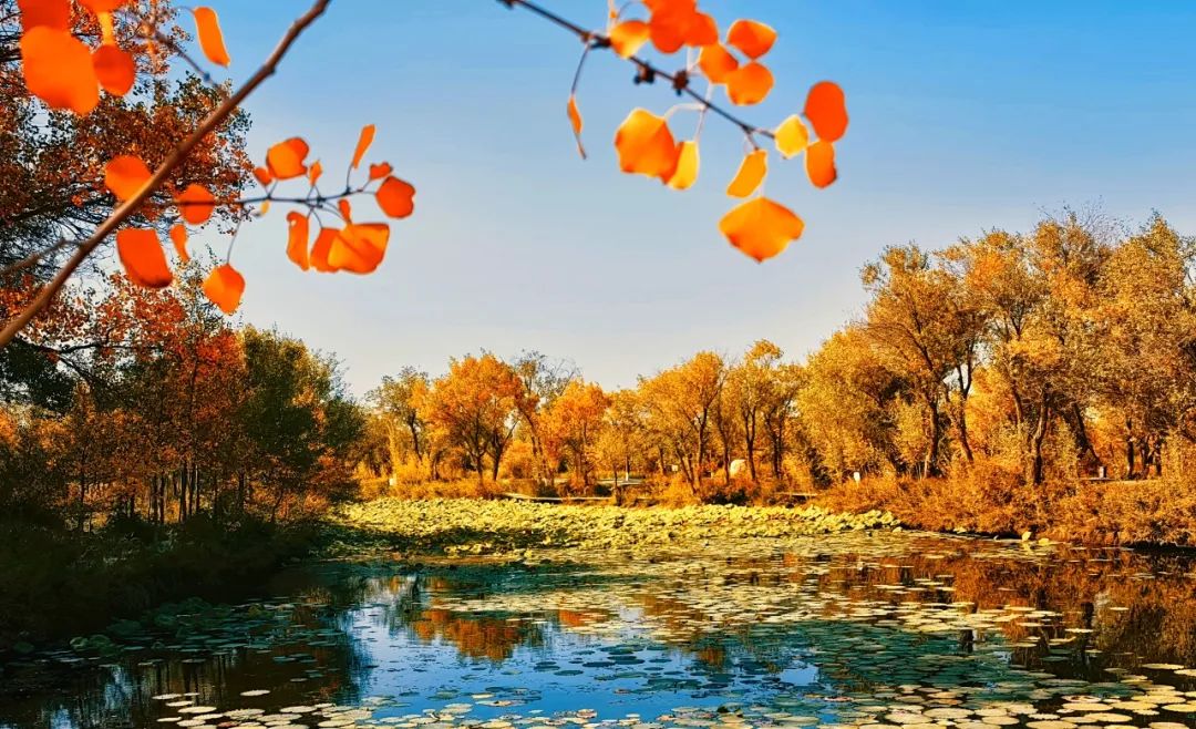 ???? ?? ??????! ?????? ???? ????? ????? ??????? ???????