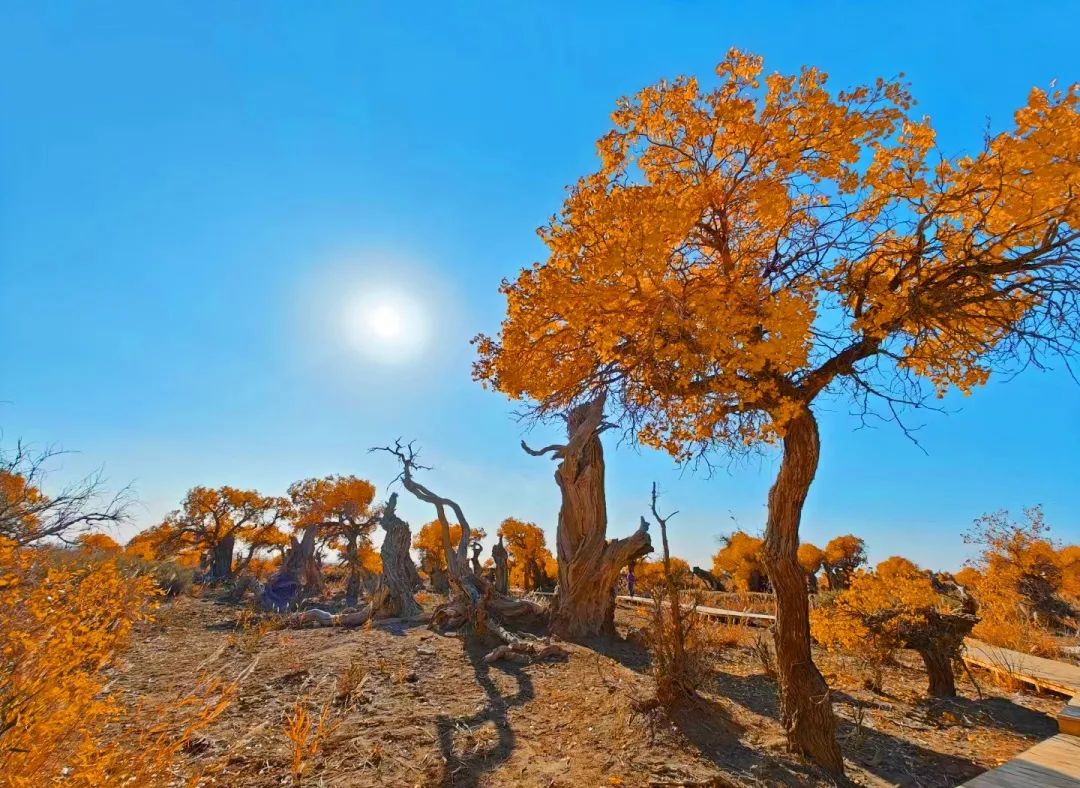 ???? ?? ??????! ?????? ???? ????? ????? ??????? ???????