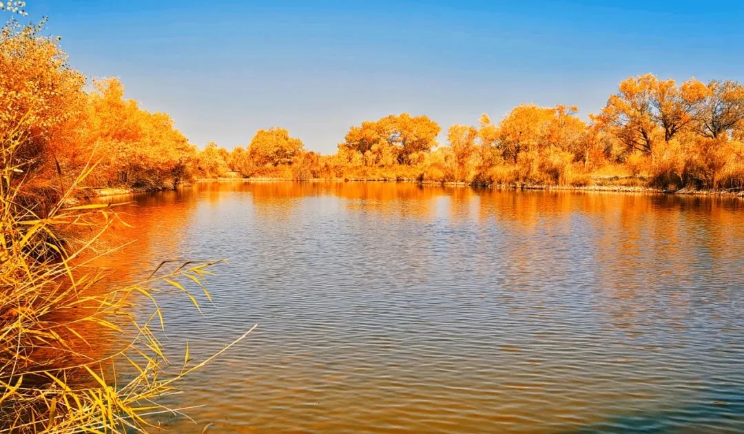 ???? ?? ??????! ?????? ???? ????? ????? ??????? ???????