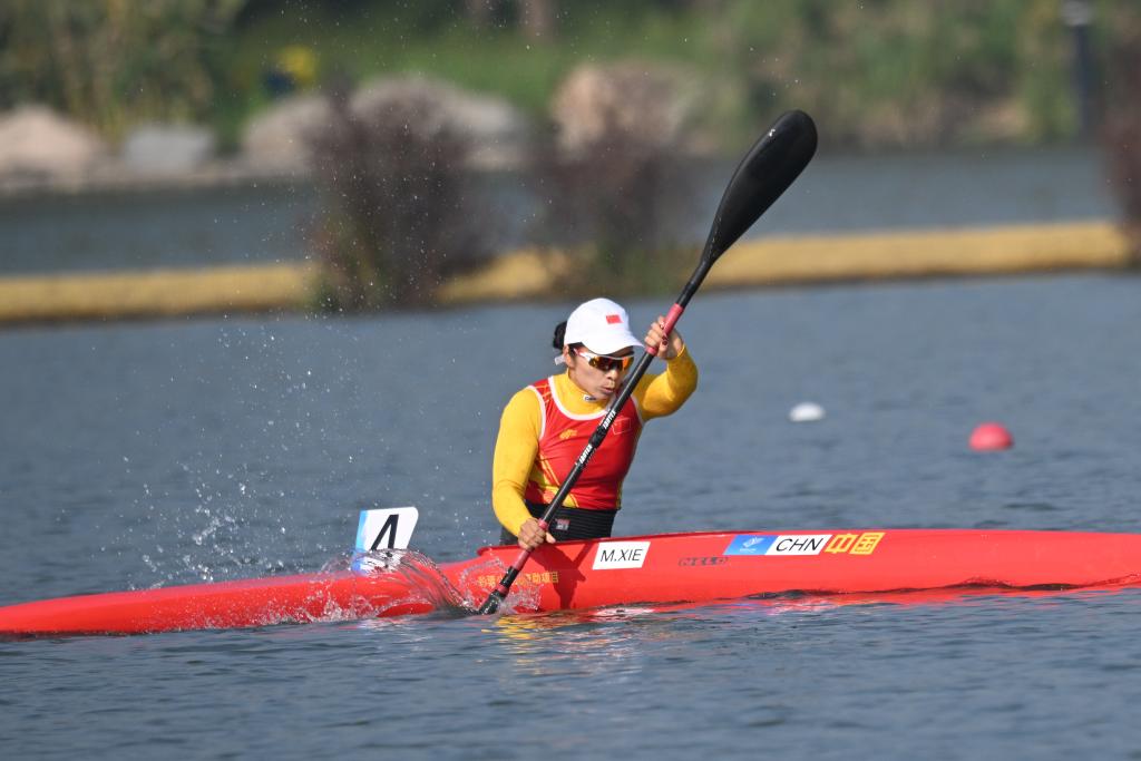 ?????? : ????? ?????? ??????? ??????? ?? ???? ??????? ??????????? ???????? ??????? ?? ??????? ???? ?????