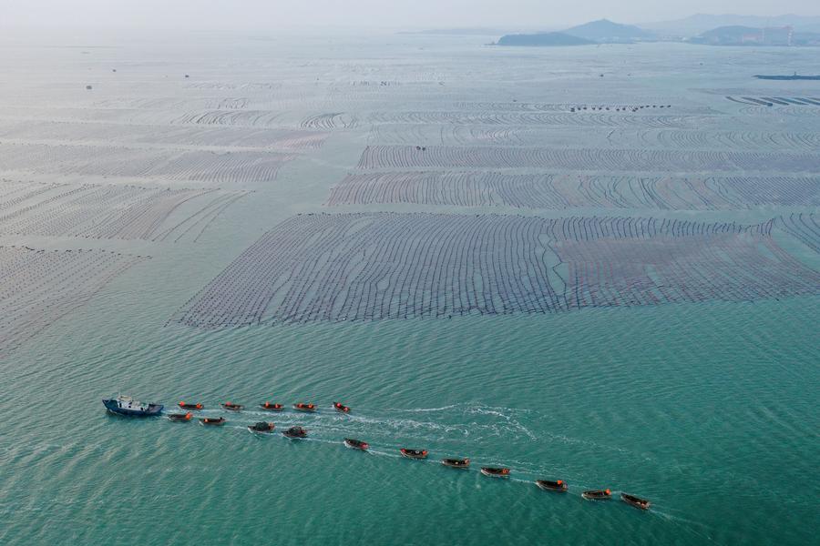 ????? ???? ????? ???? ??? ????? ????? ??????? ?? ?????? ???????