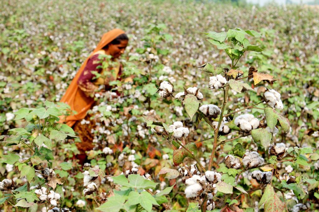 ??????: ???? ???? ????? ?? ???????