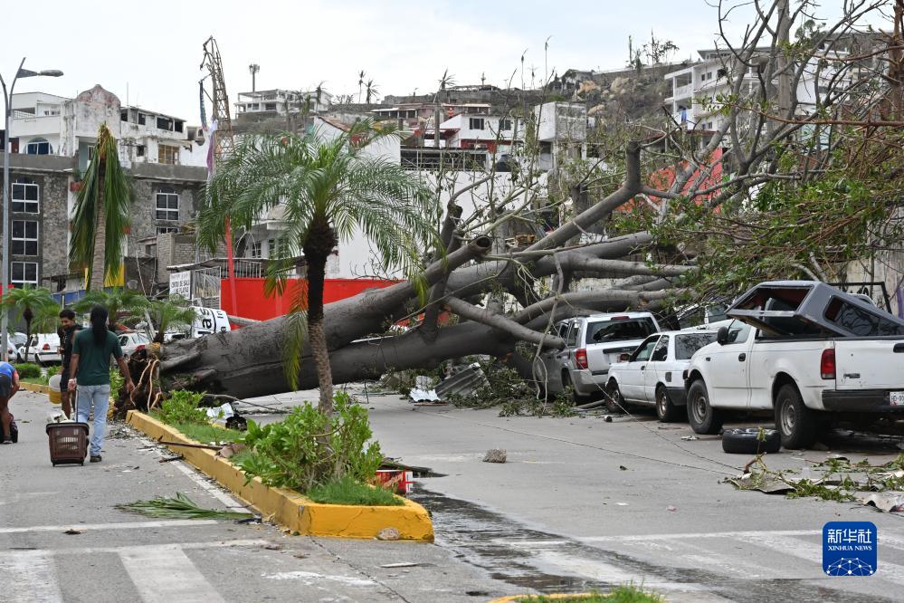 ????: ?????? ????? ????? ????? ????? ??? 43 ???? ?? ???? ???????