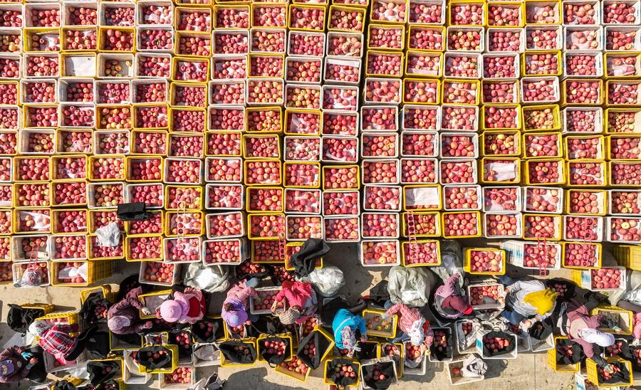 ???? ?????? ?? ????? ????? ?????