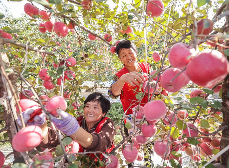 ???? ?????? ?? ????? ????? ?????